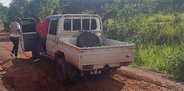 Unstuck in the mud photo 1